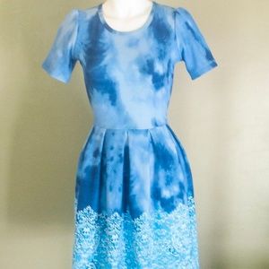Blue LuLaRoe Amelia - the Elsa dress!